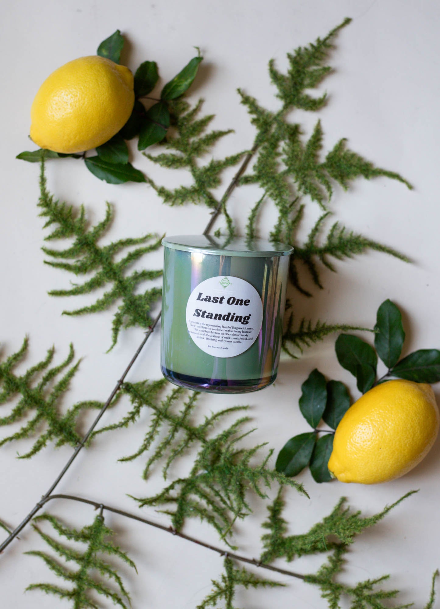 Last One Standing 2.5oz Beeswax Candle