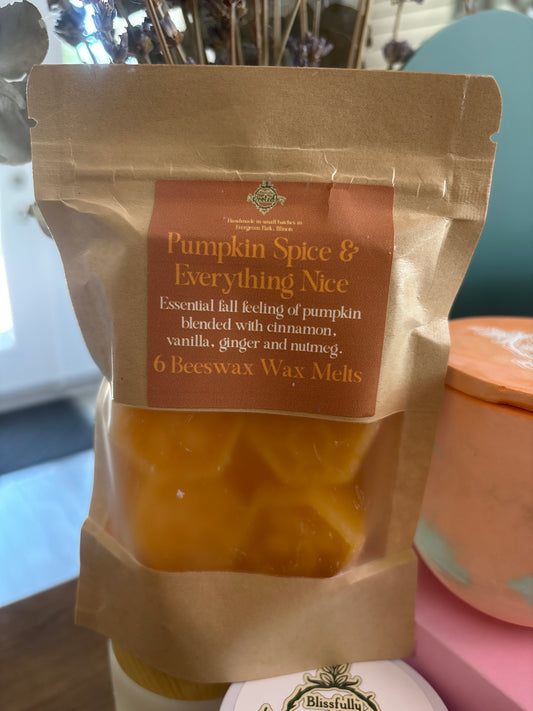 Warm Apple Cider Donuts Beeswax Wax Melts-6