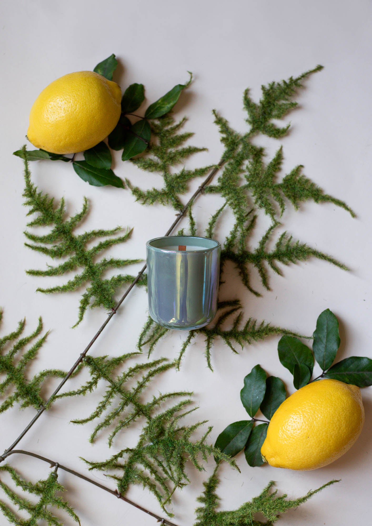 Last One Standing 2.5oz Beeswax Candle