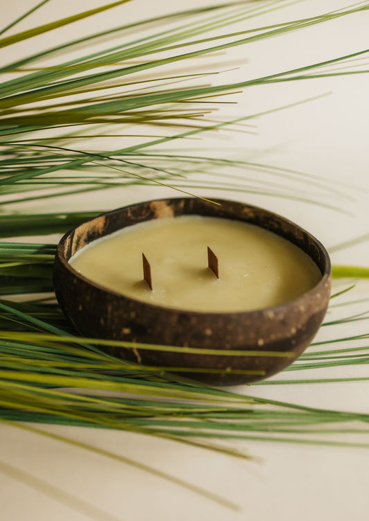 Protect & Repel Coconut Bowl Candle