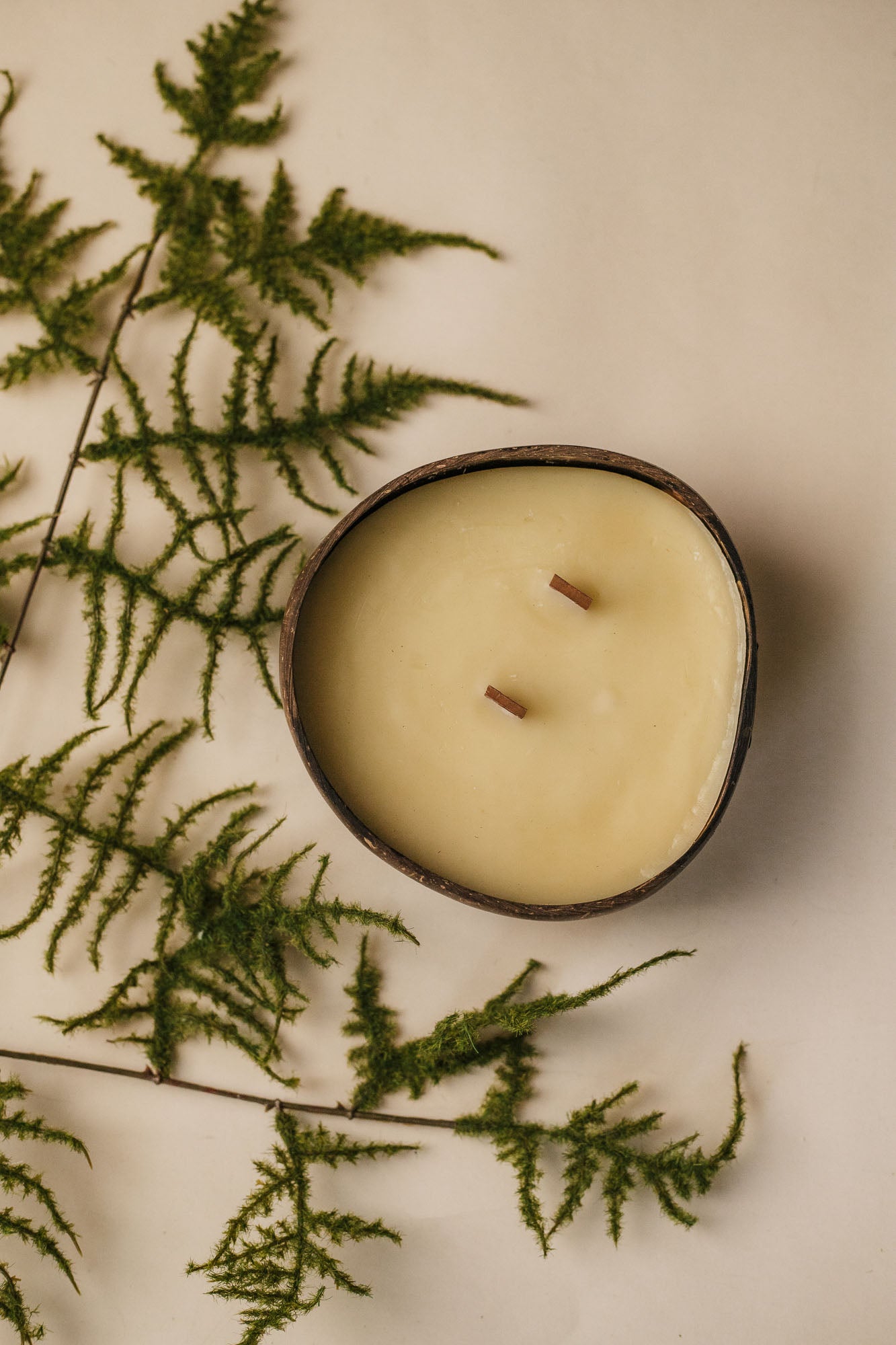 Protect & Repel Coconut Bowl Candle